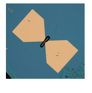 イオン液体トップゲート型FETの光学顕微鏡写真